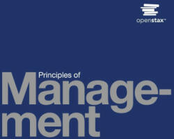 Principles of Management (ISBN: 9786762194553)