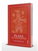 Plasa de siguranta - Valica Mihuleac (ISBN: 9786069746929)