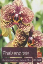 Phalaenopsis - Jörn Pinske (2012)