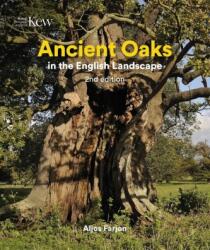 Ancient Oaks in the English Landscape (ISBN: 9781842467664)