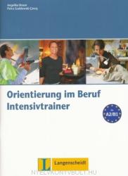 Orientierung im Beruf. Erfolgreich handeln im Beruf. Intensivtrainer mit Audio-CD - Angelika Braun (2013)