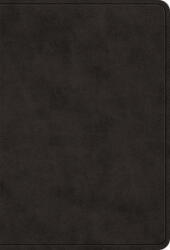 ESV Value Large Print Compact Bible (ISBN: 9781433588587)