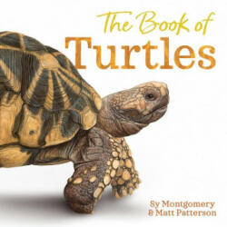 Book of Turtles - Matt Patterson (ISBN: 9780358458074)