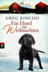 Ein Hund zu Weihnachten - Greg Kincaid, Gabriele Zigldrum (ISBN: 9783570223611)