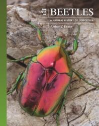 The Lives of Beetles (ISBN: 9780691236513)