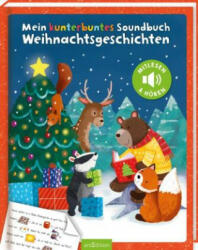 Mein kunterbuntes Soundbuch - Weihnachtsgeschichten - Anna Taube, Joanne Partis (ISBN: 9783845848211)