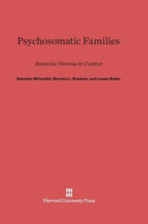 Psychosomatic Families - Salvador Minuchin, Bernice L. Rosman, Lester Baker (ISBN: 9780674418226)
