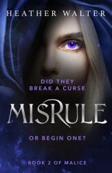 Misrule (ISBN: 9781529101324)