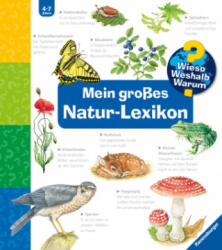 Wieso? Weshalb? Warum? : Mein großes Natur-Lexikon - Esther von Hacht, Christine Henkel, Steffen Walentowitz, Tobias Pahlke (ISBN: 9783473329892)