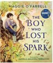 Boy Who Lost His Spark - Daniela Jaglenka Terrazzini (ISBN: 9781406392012)