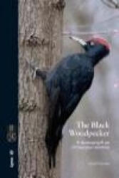 The Black Woodpecker : a monograph on Dryocopus martius - Gerard Gorman, Szabolcs Kókay (ISBN: 9788496553798)