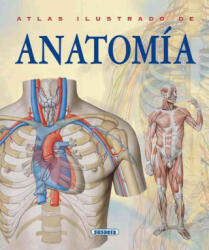Atlas ilustrado de anatomía - Adriana Bigutti (ISBN: 9788430534784)