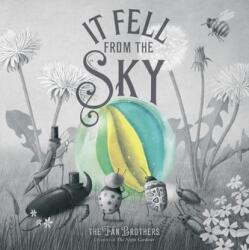 It Fell From The Sky (ISBN: 9780711270664)