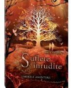 Suflete inrudite. Umbrele amintirii - Nica Stevens (ISBN: 9786303000350)