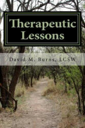 Therapeutic Lessons: An Introduction to Working with Clients with Serious and Persistent Mental Illness - David M Burns Lcsw (ISBN: 9780615907598)