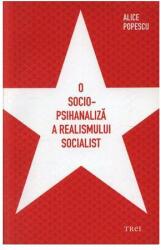 O socio-psihanaliză a realismului socialist (ISBN: 9789737072993)