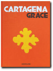 Cartagena Grace - Santo Domingo, Ortiz (ISBN: 9781649801210)