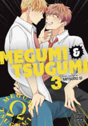 Megumi & Tsugumi, Vol. 3 (ISBN: 9781974738892)