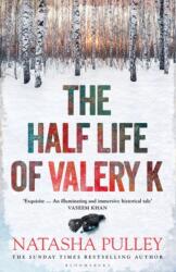 Half Life of Valery K (ISBN: 9781408885154)