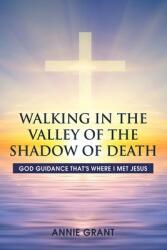 Walking in the Valley of the Shadow of Death: God guidance that's where I met Jesus (ISBN: 9781685374860)