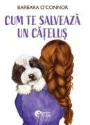 Cum te salveaza un catelus - Barbara O’Connor (ISBN: 9786069679449)