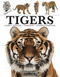 Kniha Tigers (ISBN: 9781838862602)