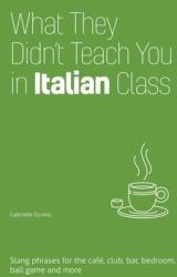 What They Didn't Teach You in Italian Class: Slang Phrases for the Cafe Club Bar Bedroom Ball Game and More (ISBN: 9781646043965)