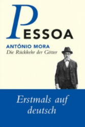 Die Rückkehr der Götter - Fernando Pessoa, Steffen Dix (ISBN: 9783100608239)