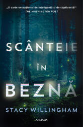 Scanteie in bezna - Stacy Willingham (2023)