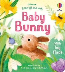 Little Lift and Look Baby Bunny (ISBN: 9781803701653)