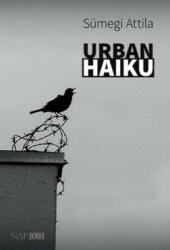 Urban haiku (2023)