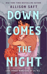 Down Comes the Night (ISBN: 9781250289858)
