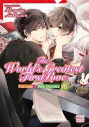 The World's Greatest First Love, Vol. 16 (ISBN: 9781974736997)
