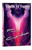 Sagetile lui Cupidon, Volumul 1, Fiica lui Cupidon - Irina T. D (ISBN: 9786306503834)