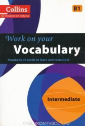 Vocabulary - collegium (2013)