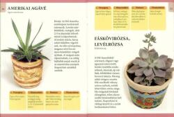 Különleges szobanövények - Otthonunk növényei 5 (2012)