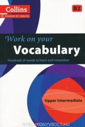 Vocabulary (2013)