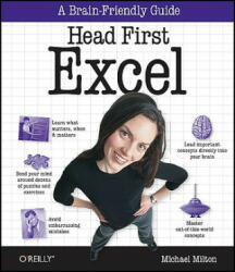 Head First Excel (ISBN: 9780596807696)