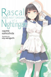 Rascal Does Not Dream, Vol. 11 (light novel) - Hajime Kamoshida (ISBN: 9781975343507)