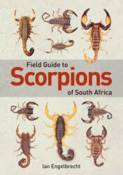 Field Guide to Scorpions of South Africa (ISBN: 9781775845744)
