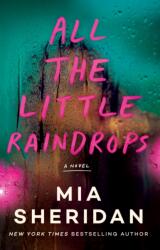 All the Little Raindrops: A Novel (ISBN: 9781662514104)