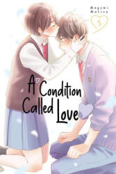 A Condition Called Love 5 (ISBN: 9781646517602)