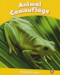 Level 6: Animal Camouflage CLIL - Caroline Laidlaw (2013)
