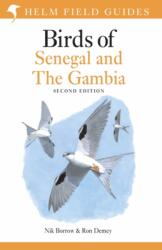 Ghid de teren al păsărilor din Senegal și Gambia (ISBN: 9781399402200)
