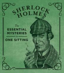Sherlock Holmes - Jennifer Kasius (2013)