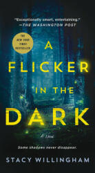 A Flicker in the Dark (ISBN: 9781250896445)