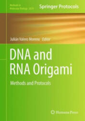 DNA and RNA Origami - Julián Valero Moreno (ISBN: 9781071630273)