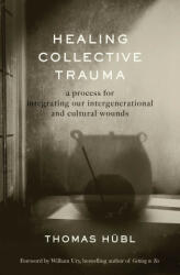 Healing Collective Trauma - Julie Jordan Avritt (ISBN: 9781649630544)
