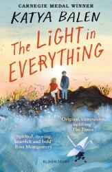 The Light in Everything (ISBN: 9781526622983)