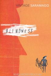 Jose Saramago: Blindness (2013)